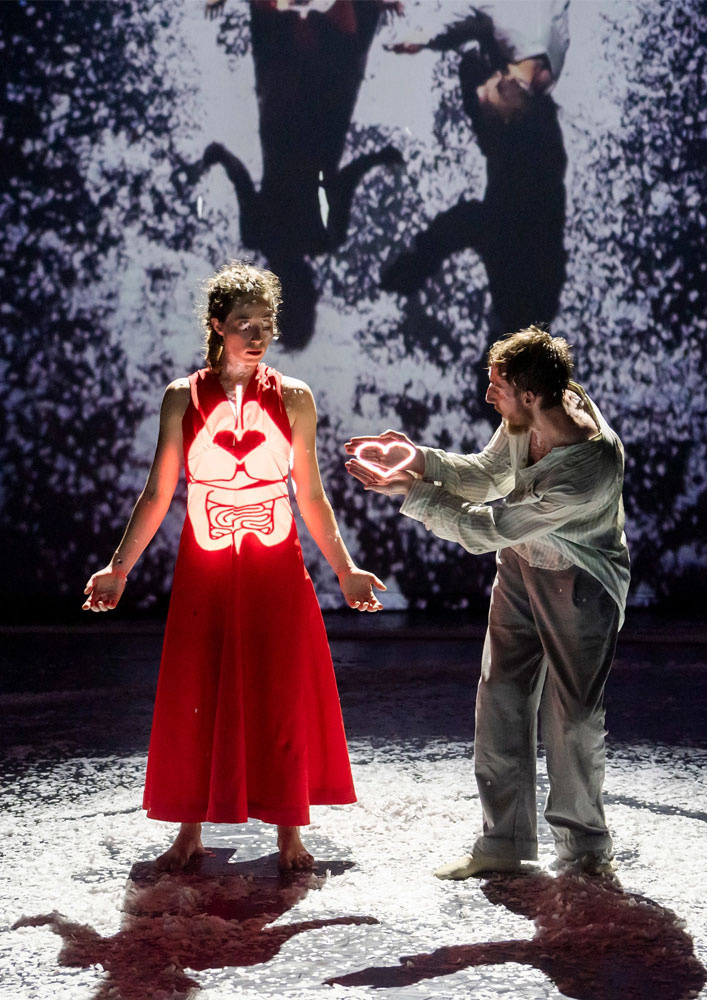 Компанија Јасмин Вардимон