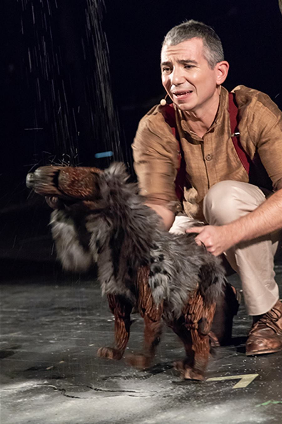 На вуковом трагу