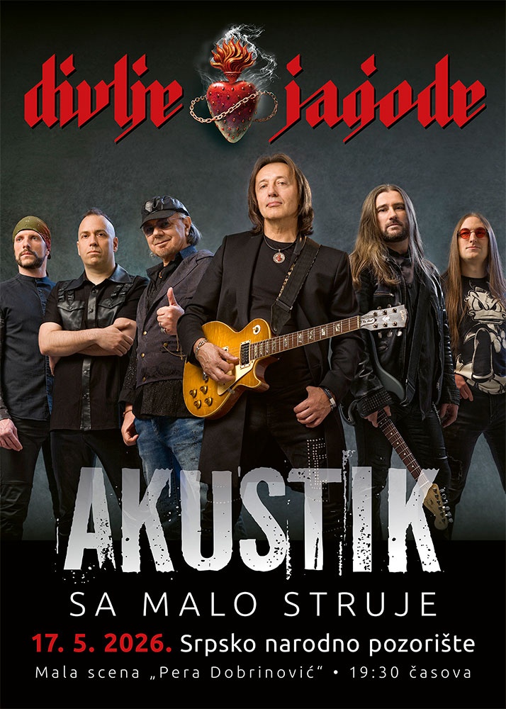Divlje jagode - Akustični koncert